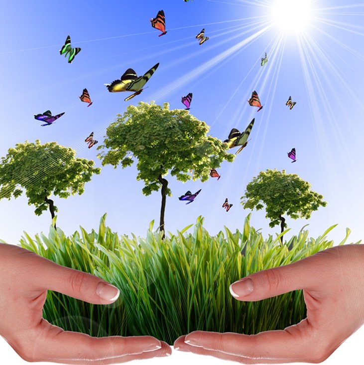 Çevresel Etki Yönetimi