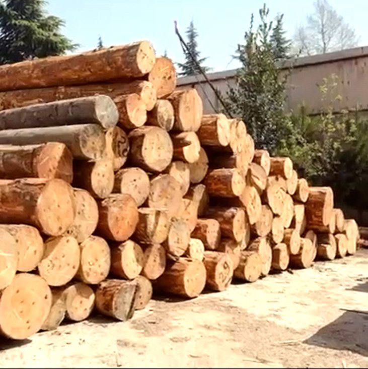 Kaliteli Hammadde Seçimi